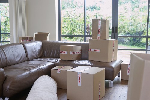Mover helping with boxes and household items in Stockwell